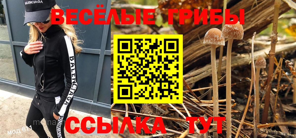 как найти закладки  Галлюциногенные грибы мицелий  Вход с VPN  Зеленогорск 