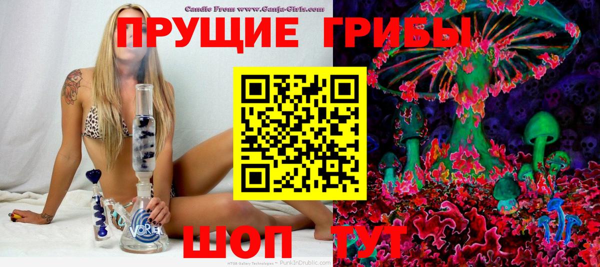 Галлюциногенные грибы мухоморы Зеленогорск